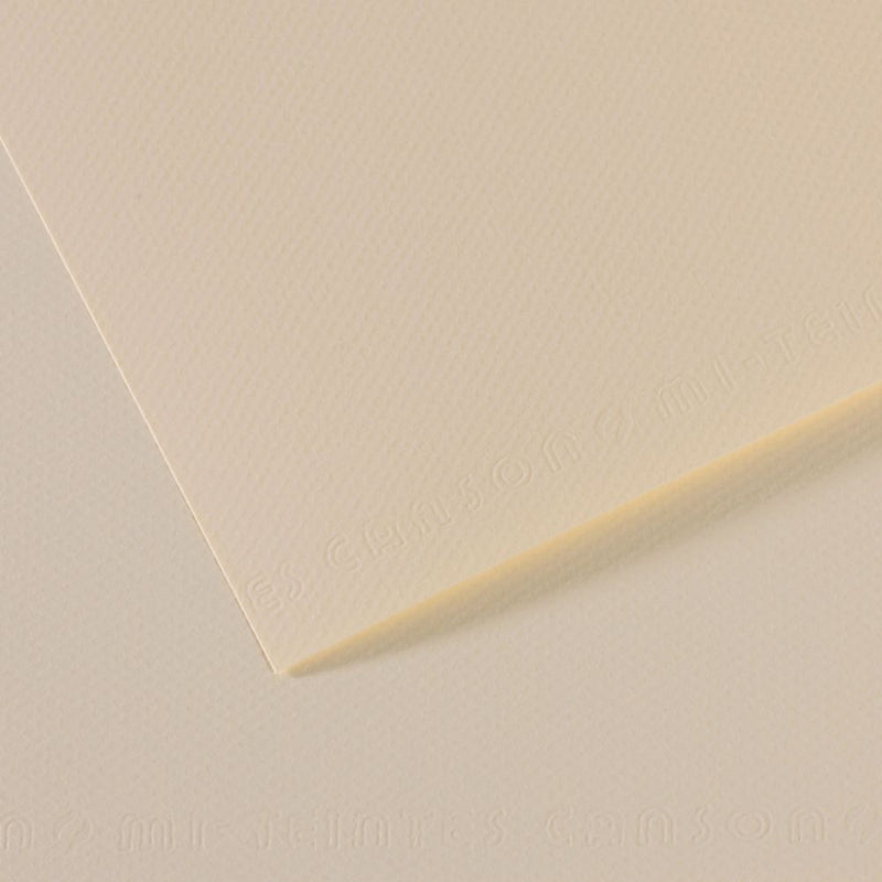 Canson Mi-Teintes 160 GSM Embossed 50 x 65 cm Coloured Paper Sheets (Lily,25 Sheets)