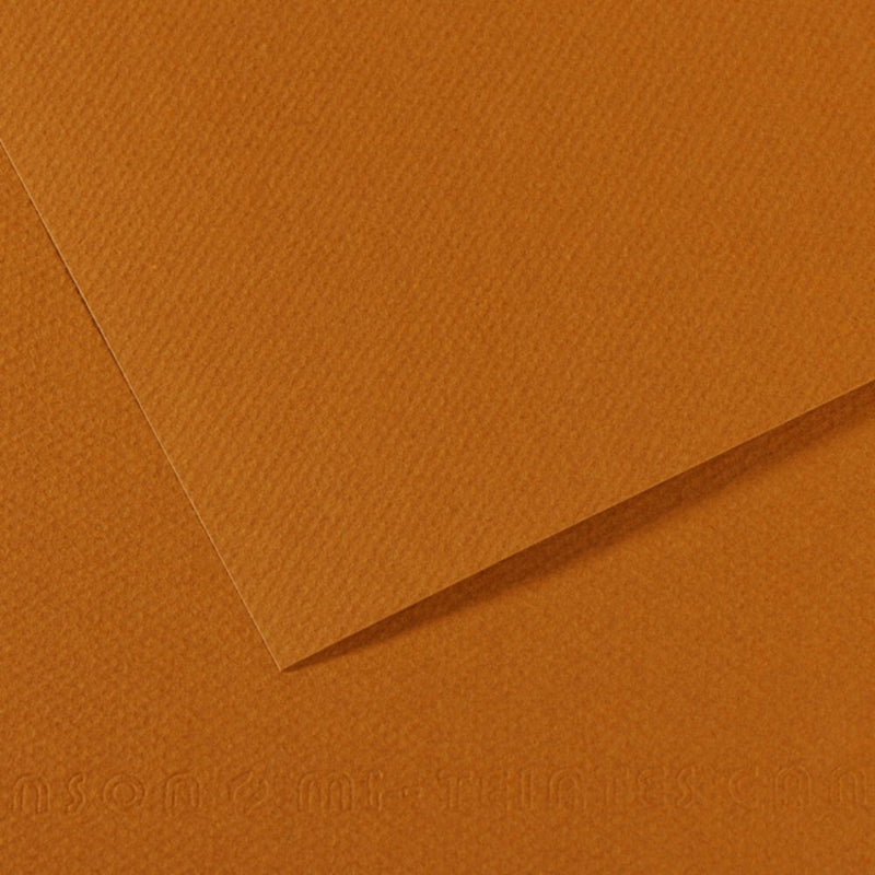 Canson Mi-Teintes 160 GSM Embossed 50 x 65 cm Coloured Paper Sheets (Havana Clear,25 Sheets)